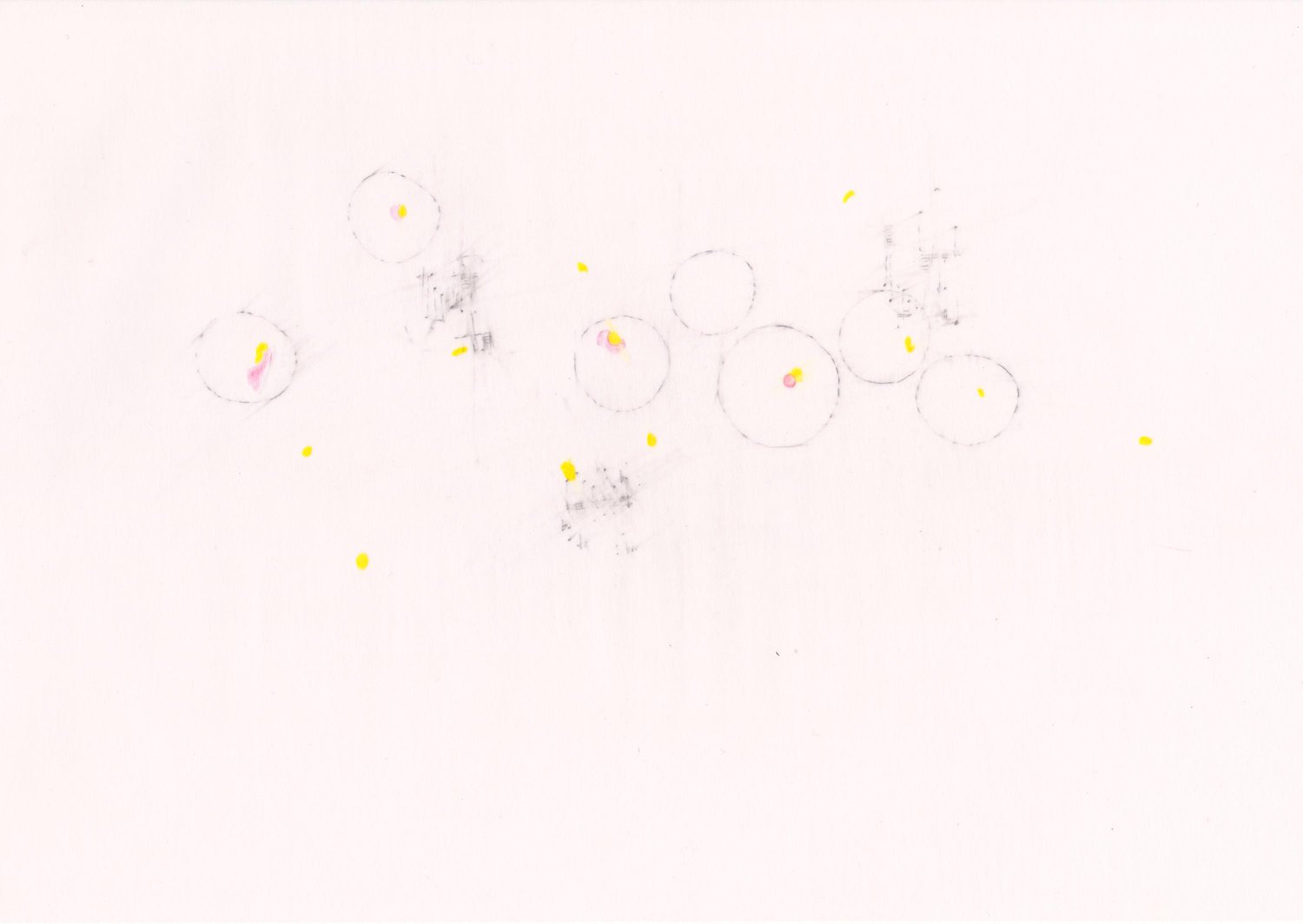 MOLITOR_excerpt-from-Walking-with-Partch.jpg